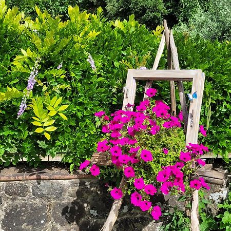 Apartamento La Casa Nel Chianti Greve in Chianti Exterior foto