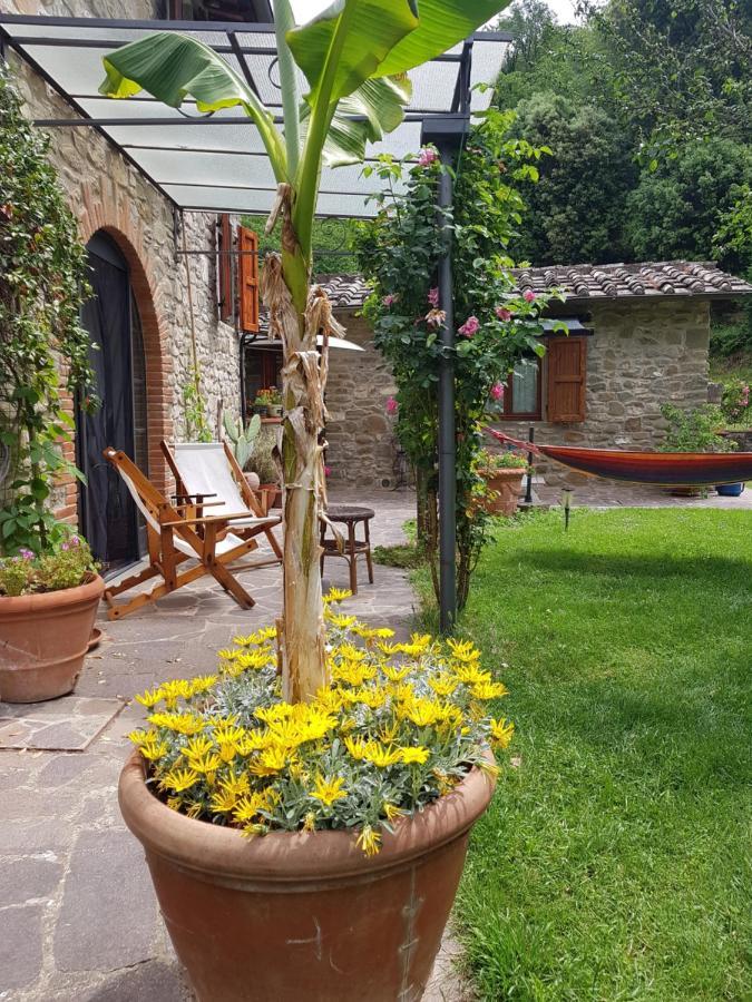 Apartamento La Casa Nel Chianti Greve in Chianti Exterior foto