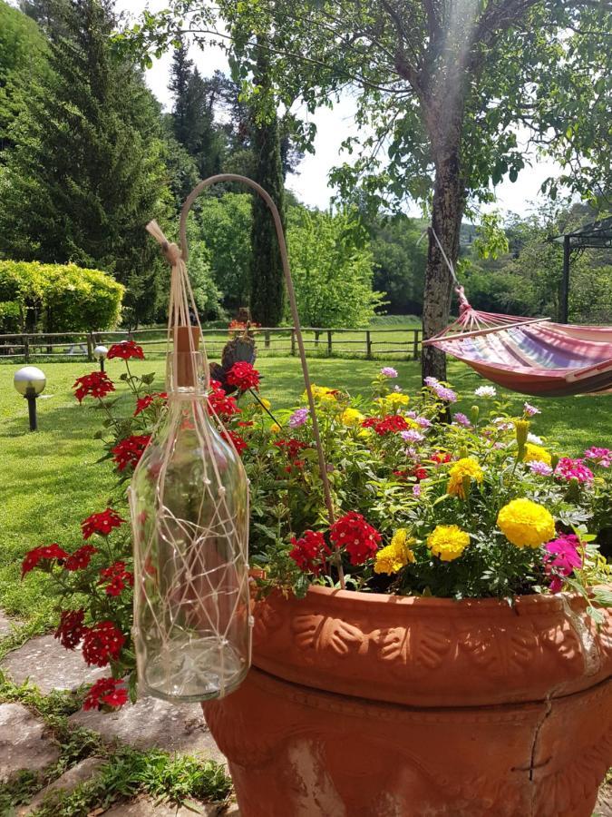 Apartamento La Casa Nel Chianti Greve in Chianti Exterior foto