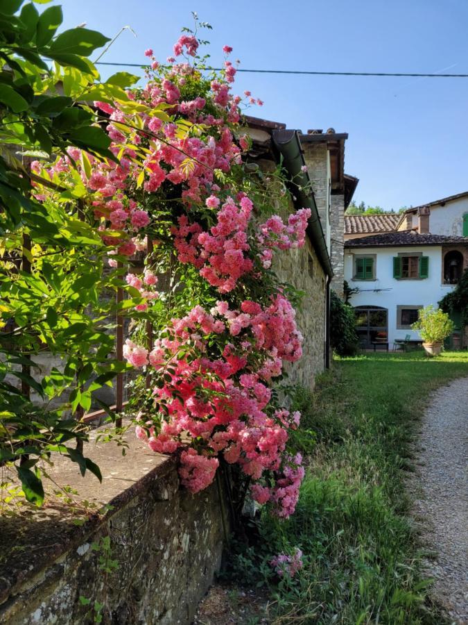 Apartamento La Casa Nel Chianti Greve in Chianti Exterior foto