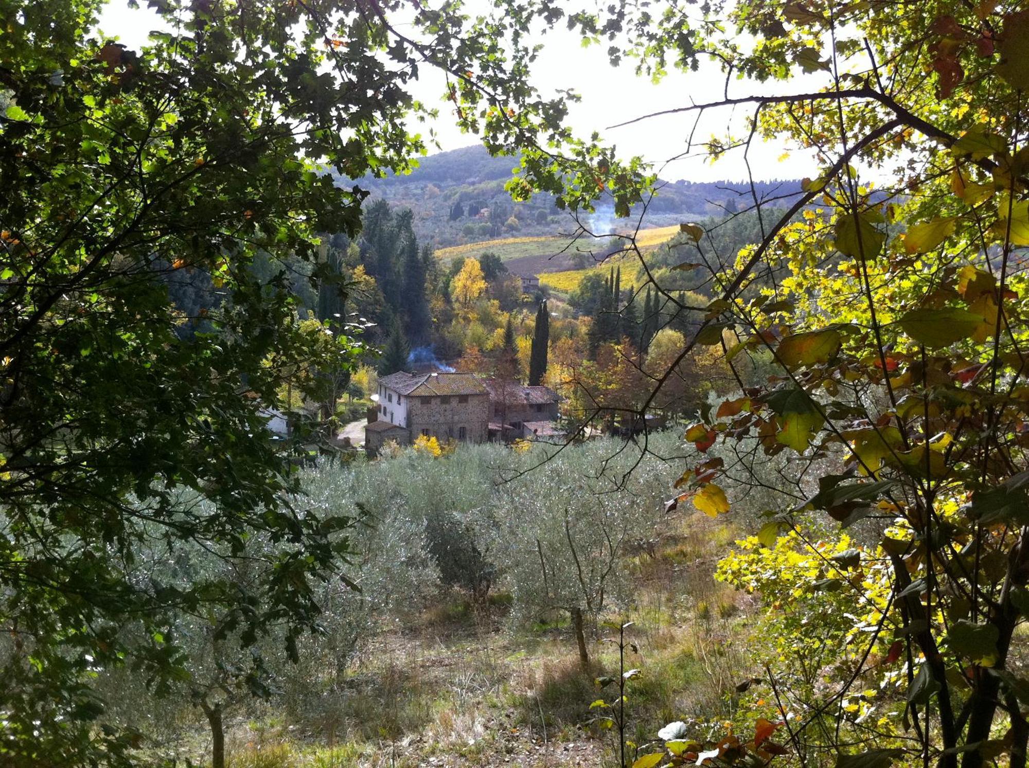 Apartamento La Casa Nel Chianti Greve in Chianti Exterior foto