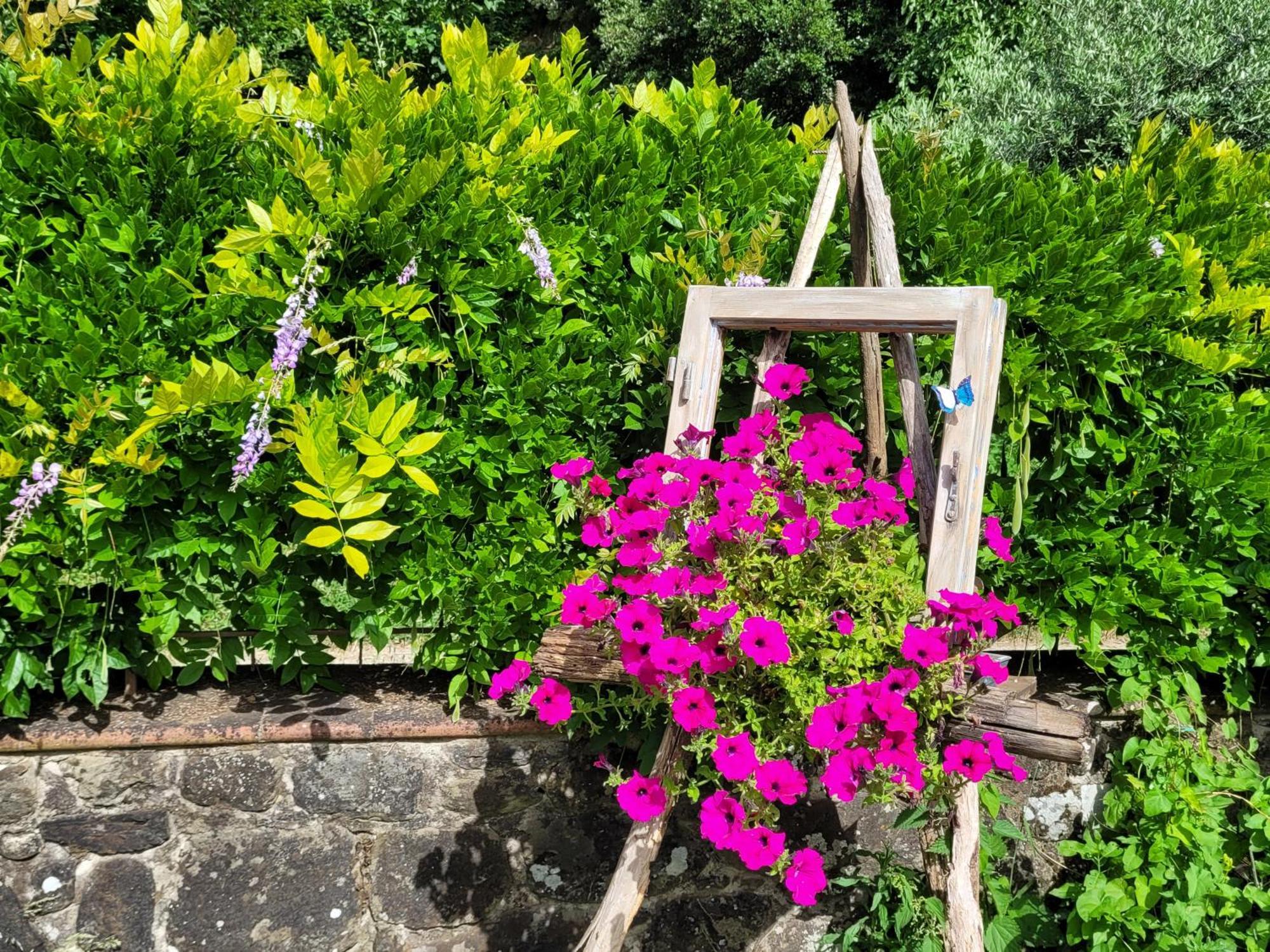 Apartamento La Casa Nel Chianti Greve in Chianti Exterior foto