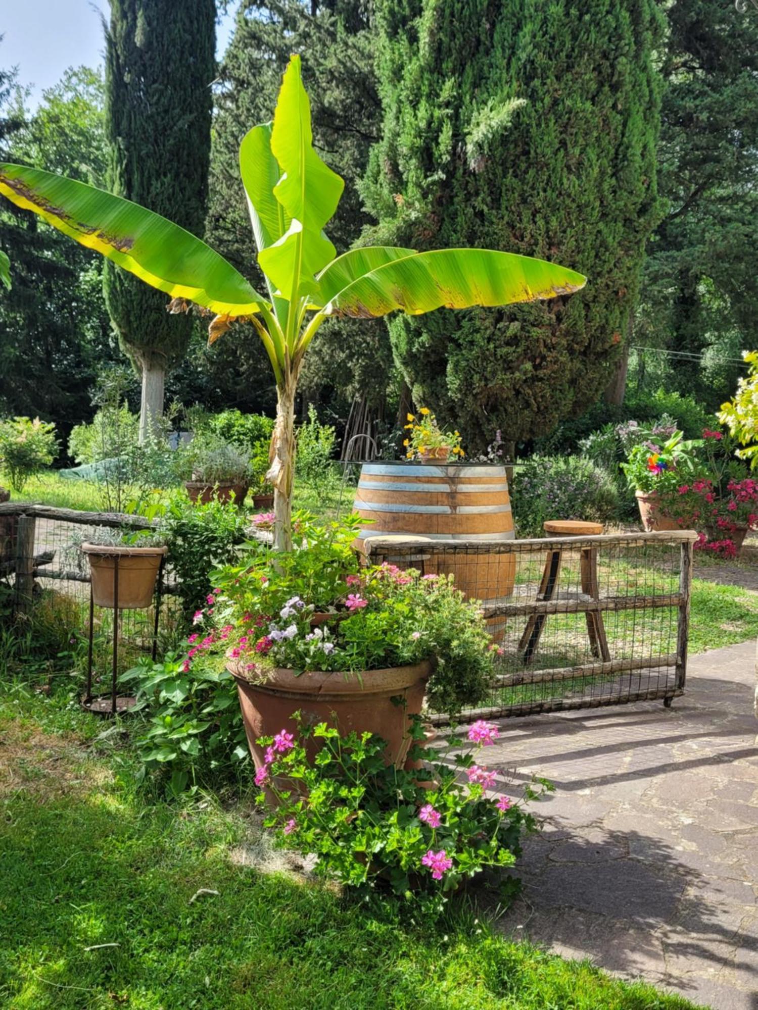 Apartamento La Casa Nel Chianti Greve in Chianti Exterior foto