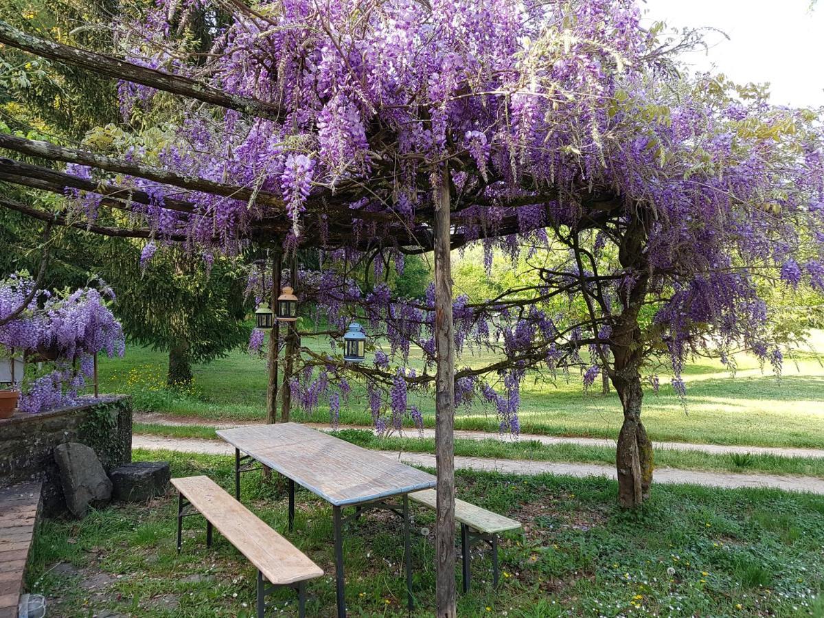 Apartamento La Casa Nel Chianti Greve in Chianti Exterior foto